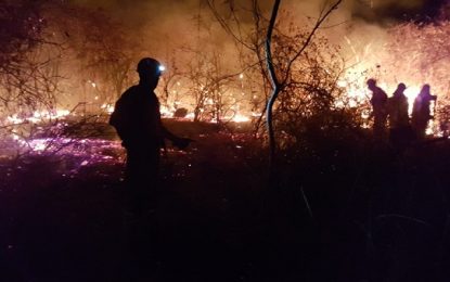 Bombeiros apagam incêndio florestal de grandes proporções em Gameleira
