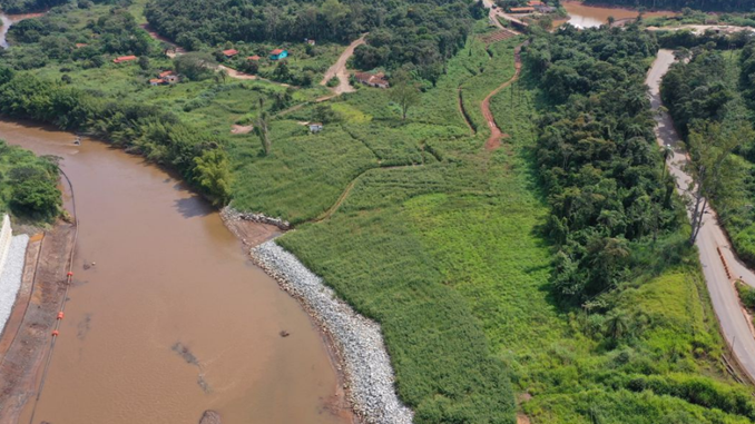 Animais silvestres estão retornando à região de Brumadinho