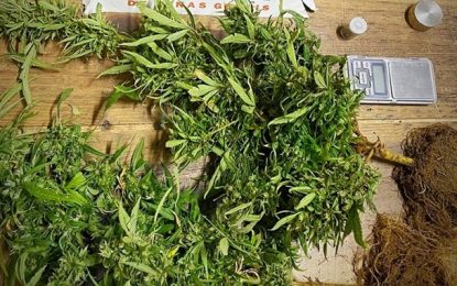 Irmãos são presos por tráfico de drogas no Bairro São José em Barbacena