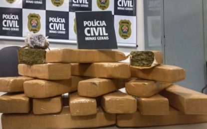 Polícia Civil apreende mais de 15 kg de maconha e prende três suspeitos de tráfico em Barbacena