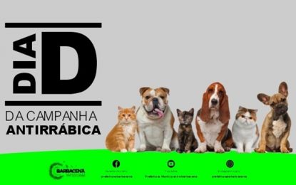 Remarcada data do “dia D” da campanha de vacinação antirrábica na zona urbana