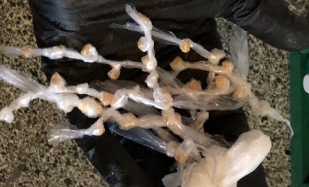 Polícias Civil e Militar prendem 2 pessoas durante operação Overdose em Piranga