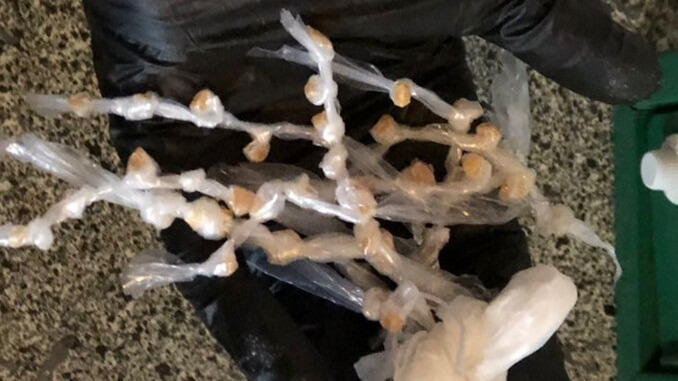 Polícias Civil e Militar prendem 2 pessoas durante operação Overdose em Piranga