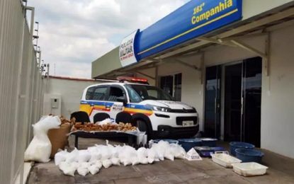 Polícia apreende 180 quilos de drogas em Campo Belo