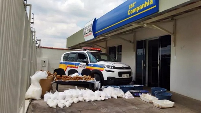 Polícia apreende 180 quilos de drogas em Campo Belo