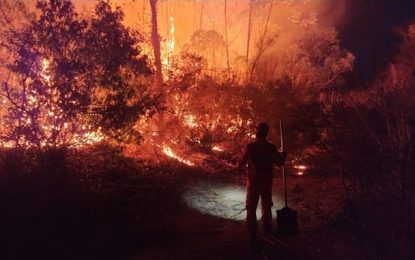 Bombeiros de Salinas atendem ocorrência de incêndio em vegetação